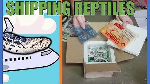 How to Ship Reptiles!