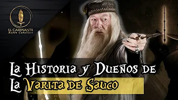 ¿Quién era el propietario de la Varita de Saúco tras la muerte de Dumbledore?