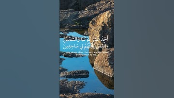 تلاوة عطرة للشيخ سيد سعيد #سيد_سعيد #قران_كريم #قرآن #القران_الكريم #اكسبلور #لايك #quran #الله
