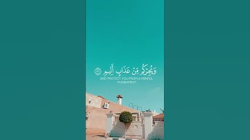 ‎لنقود ونستمع 🎧🚗… اكتب شيء تؤجر عليه…‎#اكسبلور  #tree  #قرآن street #سورة_الأحقاف #ياسر_الدوسري