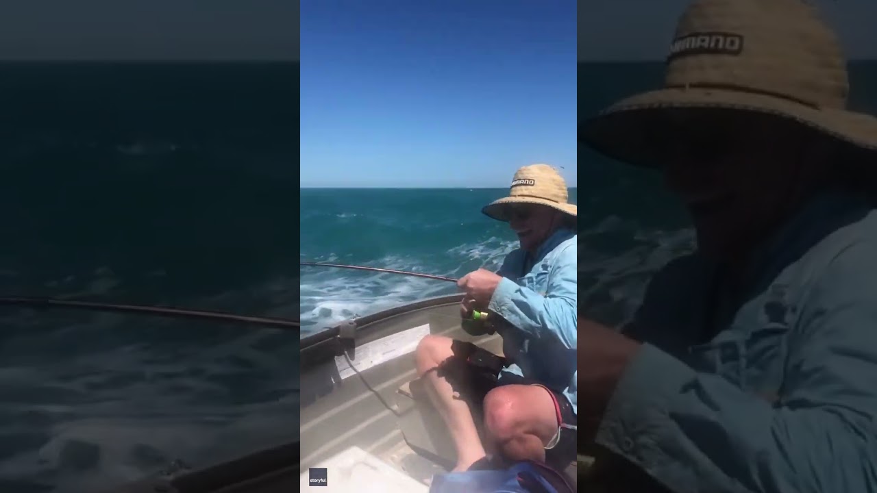 Whale breach is ‘a little bit too close for comfort’ #Shorts