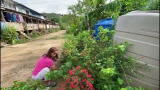 Tumu tumu Morning Meresi Flower Garden//Ari's Style is Enough Manah