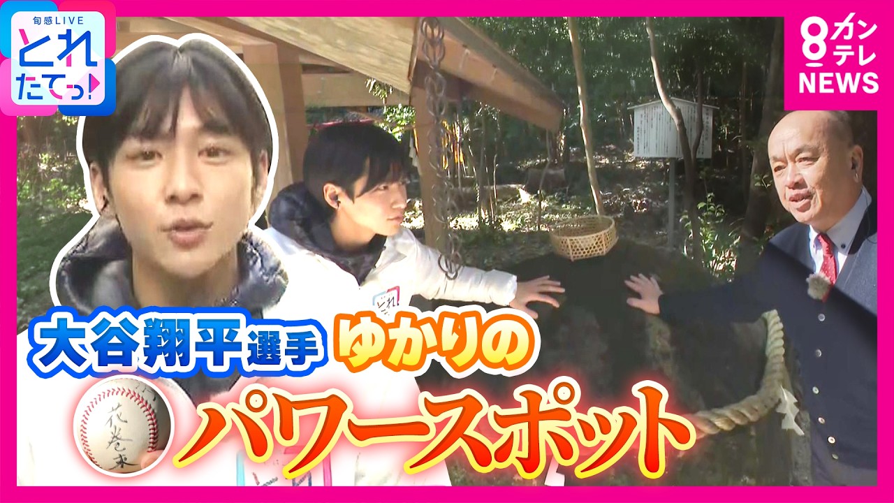 Shohei, you hit the ball like that!