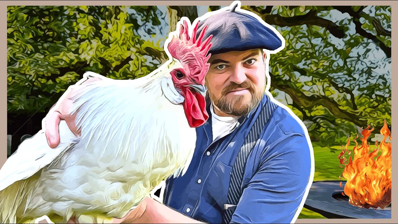 J’occis mon COQ 🐓 J’en fais un coq-au-vin 🍷🥘