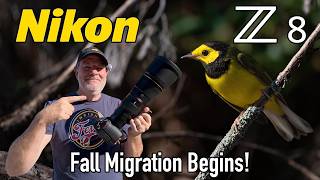 Nikon Z8 Bird Photography 600 PF Lens! Hooded Warbler! Fall Migration!