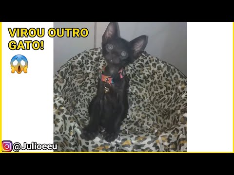 ANTES e DEPOIS