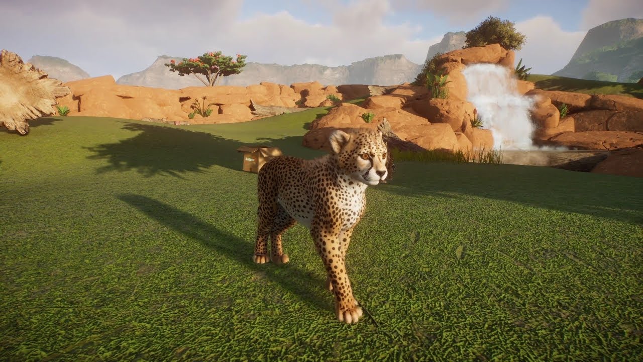 Planet Zoo (PC)(English) #82 6 Minutes of Cheetah - YouTube.