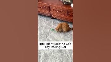 The Ultimate Cat Toy – Testing the Intelligent Electric Rolling Ball! #cats