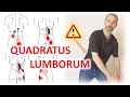 How to Fix Lower Back Pain | Quadratus Lumborum Release | Pain in Lower Back and Buttock Pain