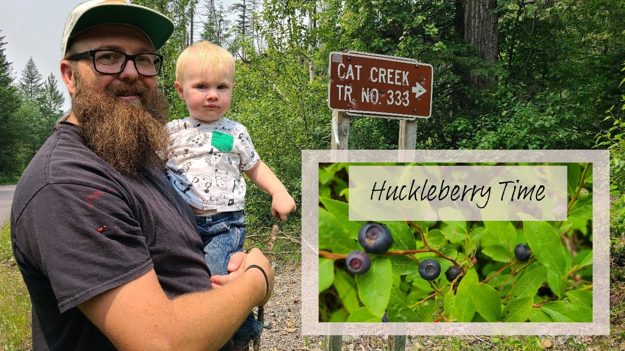 Huckleberry Hunting and Chick Checking: V185 - YouTube