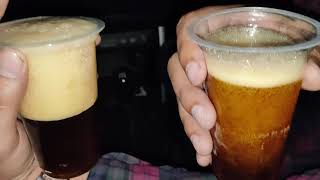 Homemade Beer drinking with Friends. Wine & Beer recipes screenshot 1