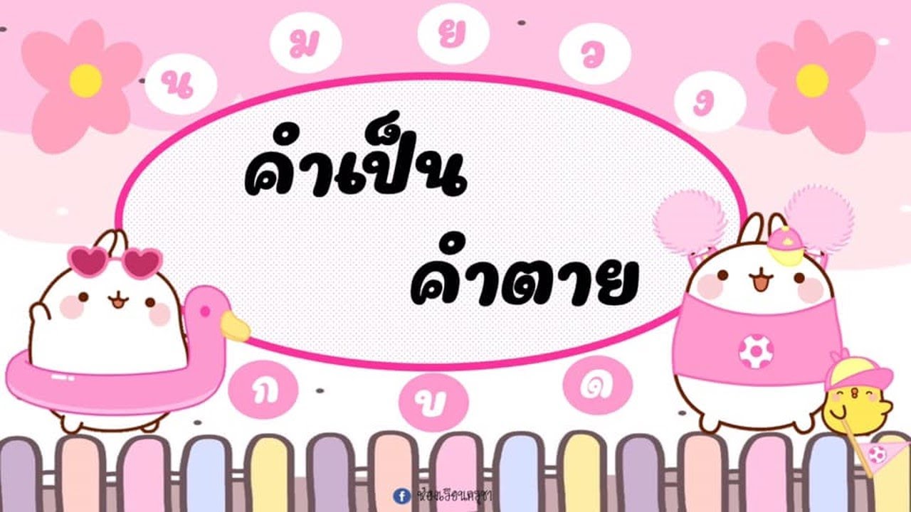 ทบทวนคำเป็น คำตาย | ความ หมาย ของ คำ เป็น คำ ตายข้อมูลที่เกี่ยวข้องล่าสุด ทบทวนคำเป็น คำตาย | ความ หมาย ของ คำ เป็น คำ ตายข้อมูลที่เกี่ยวข้องล่าสุด