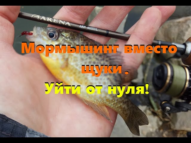 Мормышинг вместо щуки. Уйти от нуля!