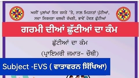 4th Class EVS (ਵਾਤਾਵਰਨ ਸਿੱਖਿਆ ) Holidays Homework l pseb class 4 holidays homework june 2025 solved