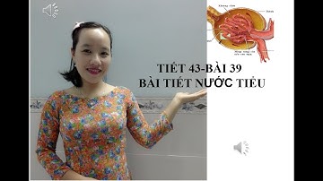 Sinh học 8 Bài 39 Bài tiết nước tiểu