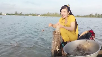 bắt cá/giăng lưới mùa nước nổi dính bầy cá khủng