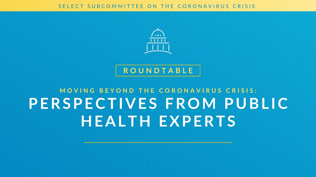 ROUNDTABLE | Moving Beyond the Coronavirus Crisis: Perspectives from Public Health Experts