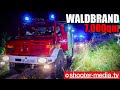 🔥  (Waldbrand) Feuer auf 7.000qm  🔥 | 🚒   Mehrere Feuerwehren löschen den Brand  🚒