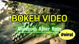 BOKEH VIDEO || Rainbow After Rain