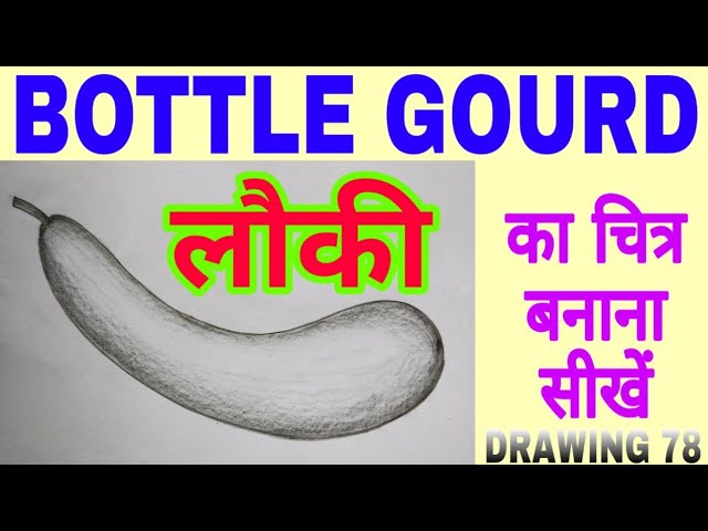 Bottle gourd Drawing/ how to colour bottle gourd drawing/ elementary Bottle  gourd drawing. - YouTube