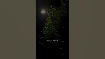 تـلاوة|القارئ|عـبـدالـرحمن مـسعد|#تلاوة_مميزة#تلاوة_خاشعة#تلاوة_هادئة#قرآن#عبدالرحمن_مسعد#قران_كريم|