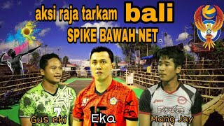 SERU!! AKSI SALING BALAS  SPIKE BAWAH NET DENGAN RAJA TARKAM BALI