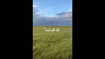 وَتِلْكَ حُدُودُ اللَّهِ ۚ ( سورة الطلاق {جزء من آية 1} )القارئ رعد الكردي🤍🌱 