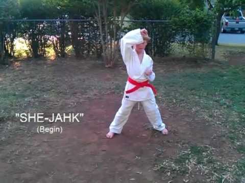 K&C Form 1 - White Belt Level - Taekwando