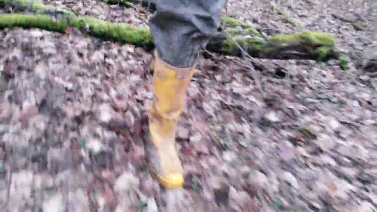 230124 yellow Hunters walking forest #03