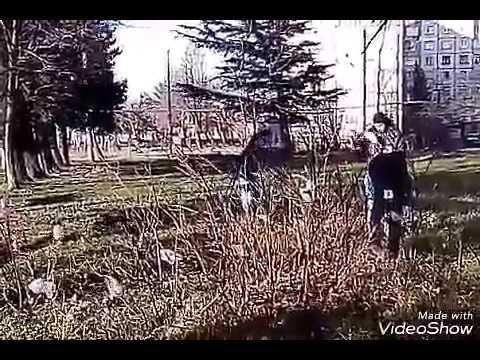 დასუფთავების აქცია ქალაქ ქუთაისში