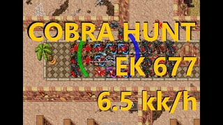 EK 677 Hunt Solo Cobra Bastion 6.5kk/h Raw - Peak 7.2kk/h - Tibia Haizoon