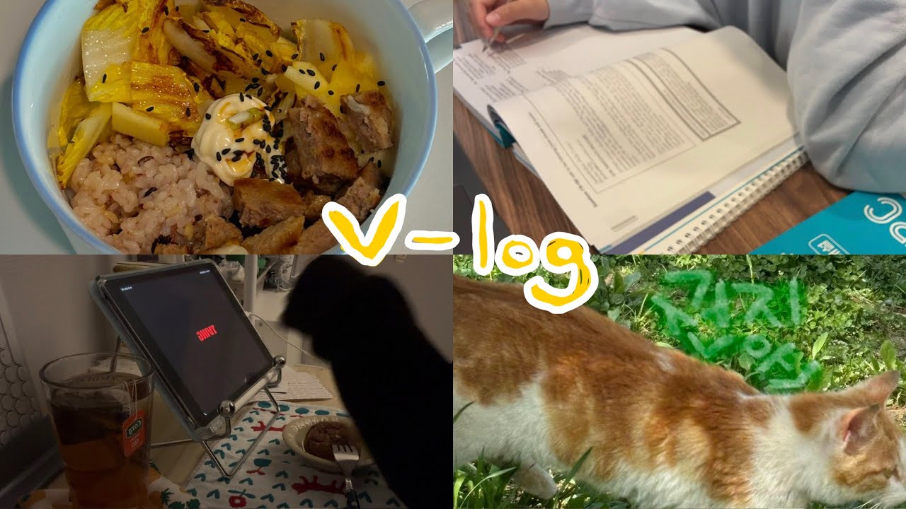 평범주말일상 v-log