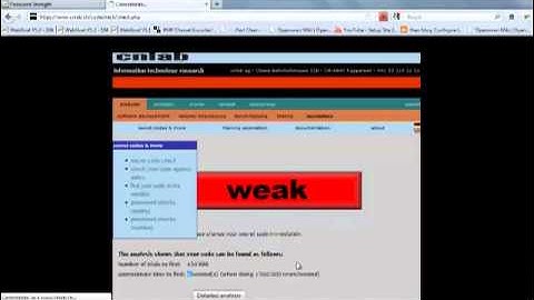 Owasp - WebGoat - Password Strength