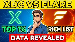 XDC vs Flare: The Real Sleeping Giant? Rich List Data Revealed!