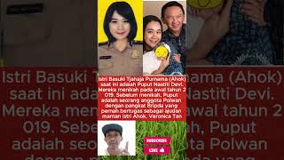 Dulu Ajudan Sekarang Nyonya Kisah Puput Nastiti Devi U0026 Ahok