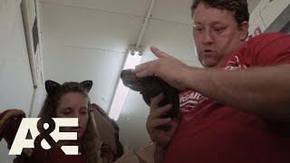 Storage Wars: Rene Plays Ball (Season 12) | A&E