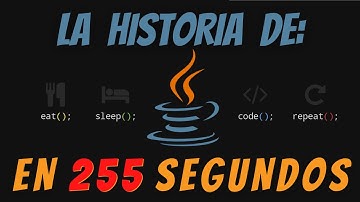Java La Historia en 255 segundos