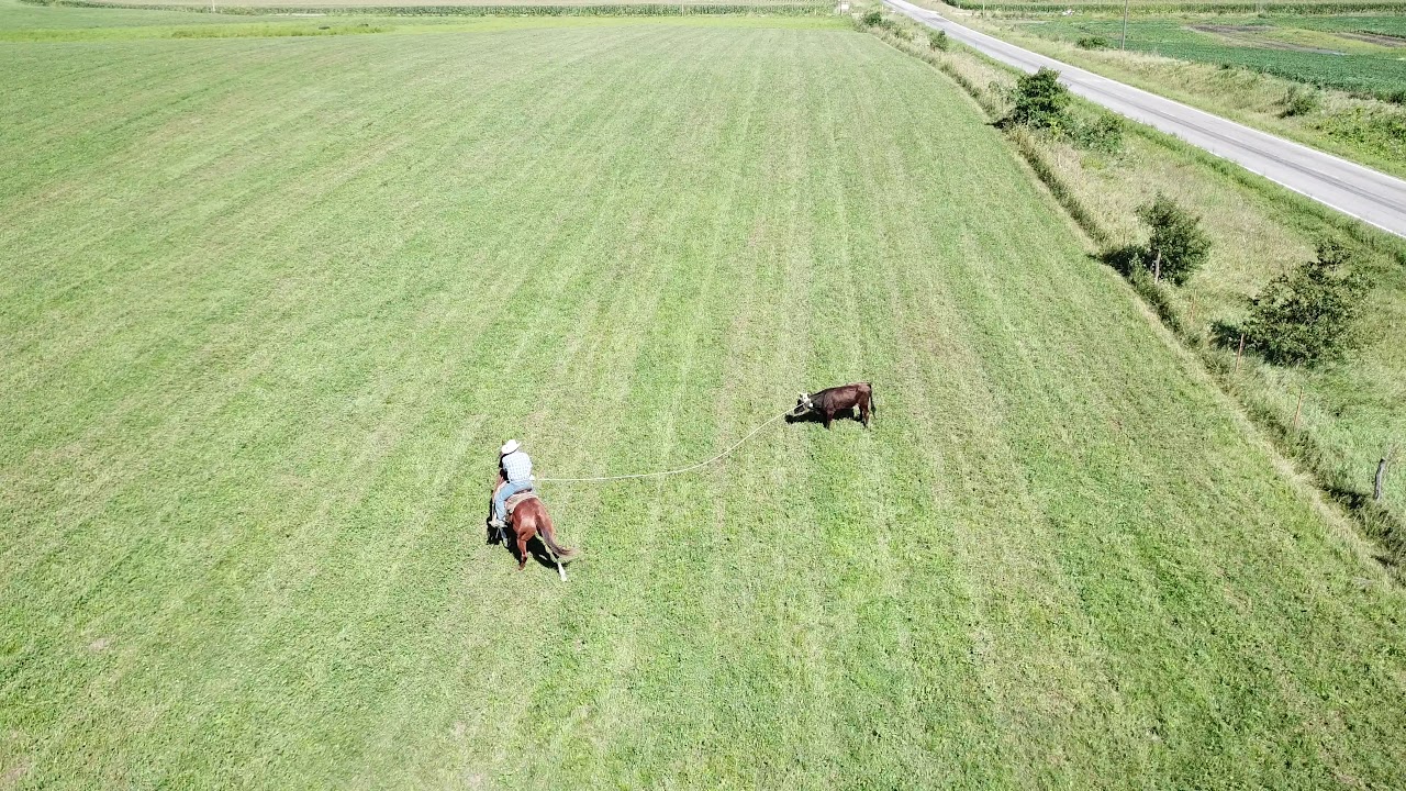 2020 Green Hills Cowboy Classic One-Man Pasture Roping - YouTube