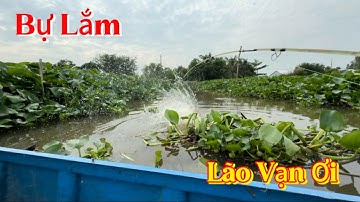 Câu Cá Tra Mà Dính Cá Rô Chưa Từng Thấy /Định Nguyễn Hậu Giang