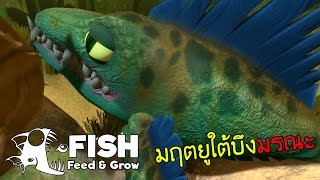 มฤตยูใต้บึงมรณะ | Fish Feed and Grow #2