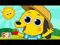 Picked a strawberry   kids counting song  super simple songs