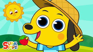 Thumbnail of Picked A Strawberry🍓 |  Kids Counting Song | Super Simple Songs