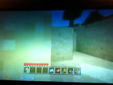 Minecraft seed