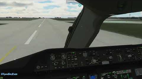 FS 787 Autopilot