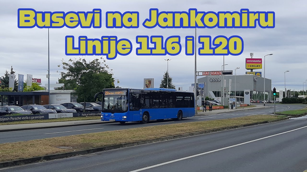 Busevi na Jankomiru | Linije 116 i 120 - YouTube