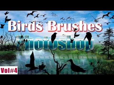 Birds Brushes Effect In Photoshop Vol#4 2018 [desimesikho]