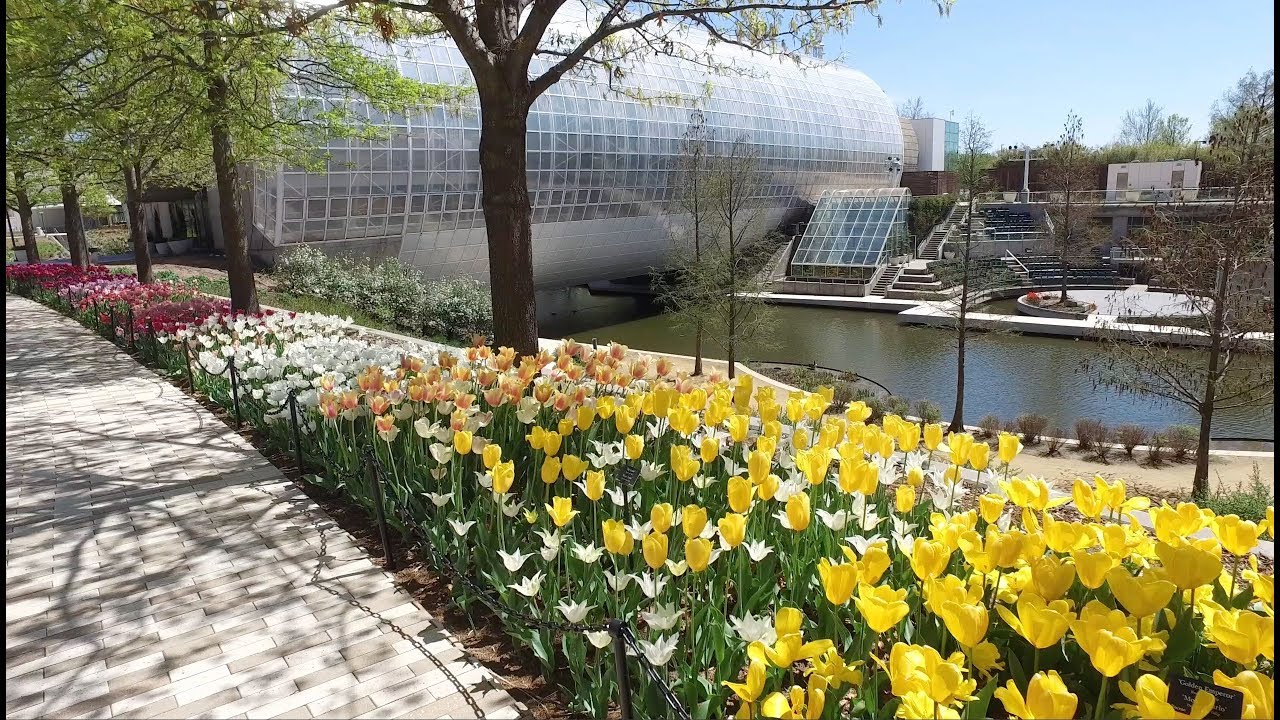 Okc Video Walk No 9 Myriad Botanical Gardens To Leadership