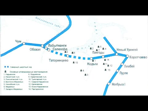 Северный широтный ход одобрен Советом по Арктике.