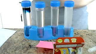 Earth Sci Ocean Water Density Lab