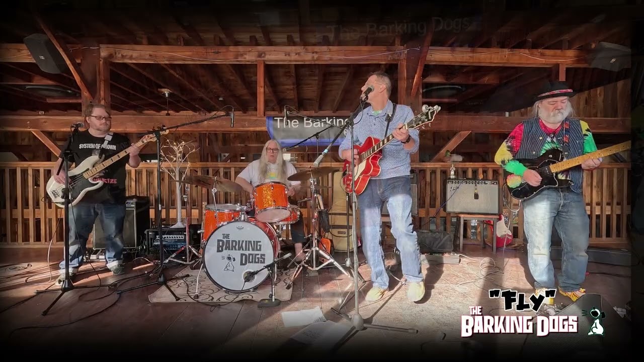 The Barking Dogs - Fly